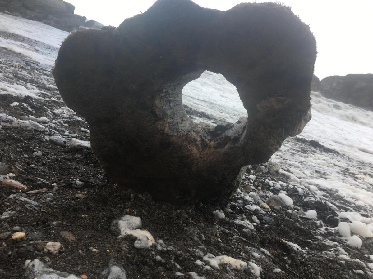 Newberry Beach Lodge Combe Martin Esterno foto